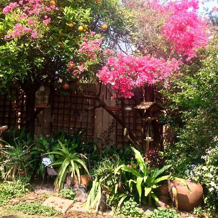 Claires Of Sandton Luxury Guest House Johannesburg Luaran gambar
