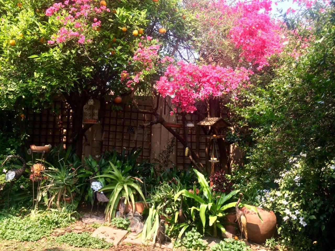 Claires Of Sandton Luxury Guest House Johannesburg Luaran gambar